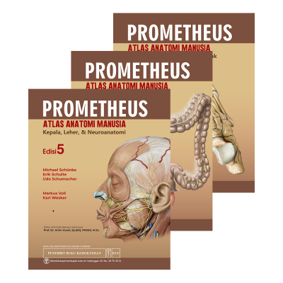 Buku Kedokteran: Buku Prometheus Atlas Anatomi Manusia Edisi 5 (SET 3 BUKU)