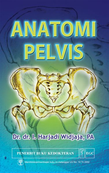 Anatomi Pelvis